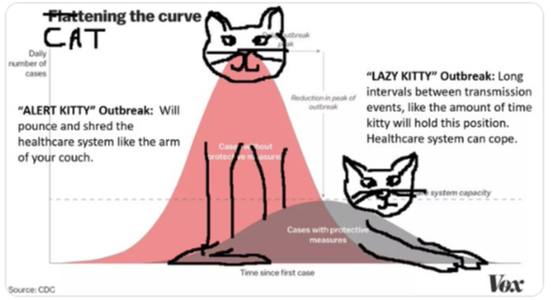 Cattening the curve graph
