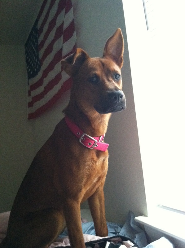 Update on Lucky