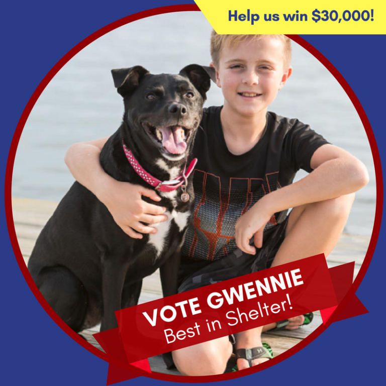 Vote CDR&CK & Gwennie Best in Shelter!